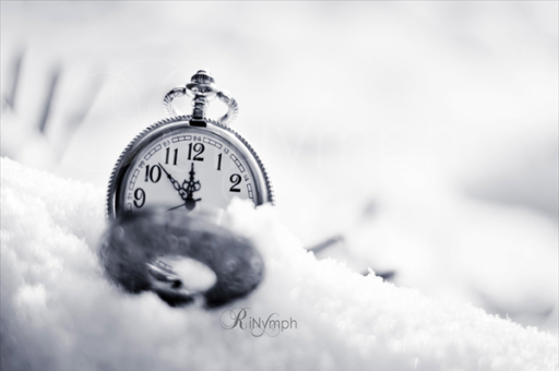 东北虎雪域风华，打出溜滑的雪域传奇